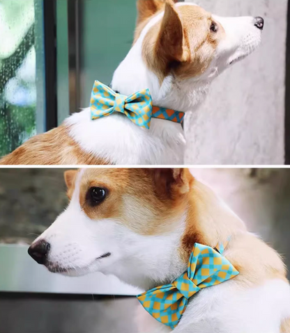 Pet Large Bow Tie - Sunrise