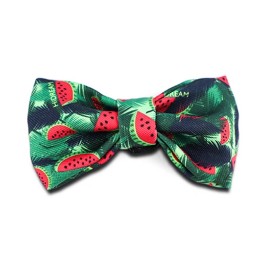 Pet Small Bow Tie - Watermelon