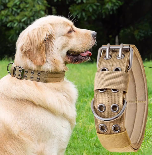 Wide Dog Collar For Medium and Large Dogs