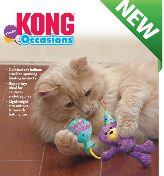 KONG Cat Occasions Birthday Teddy Catnip Toy