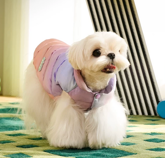 Zeze Colorful Puffer Jacket For Dog/Cat