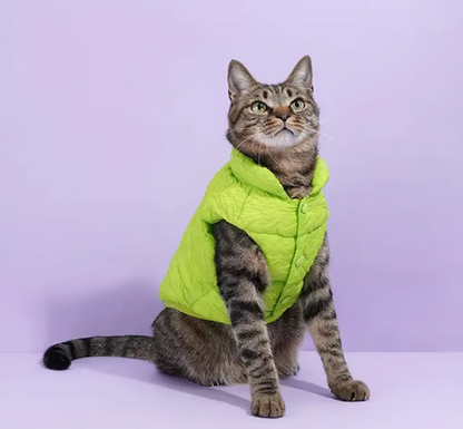 Zeze Green Puffer Jacket for Dog/Cat