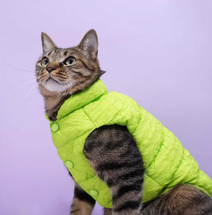 Zeze Green Puffer Jacket for Dog/Cat