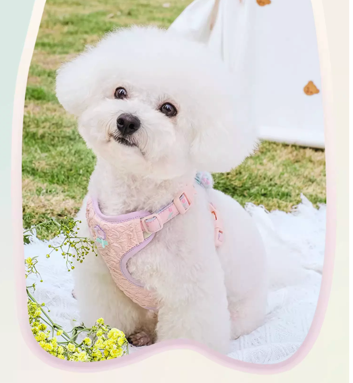 Tuffhound Sweet Floral Small Dog/Cat Harness - Pink/Purple/Yellow
