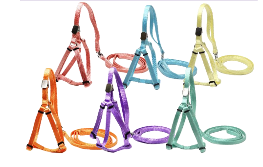 LEADOG Puppy Harness with Leash