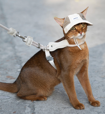 Hidream Lightweight Cat Sun Hat