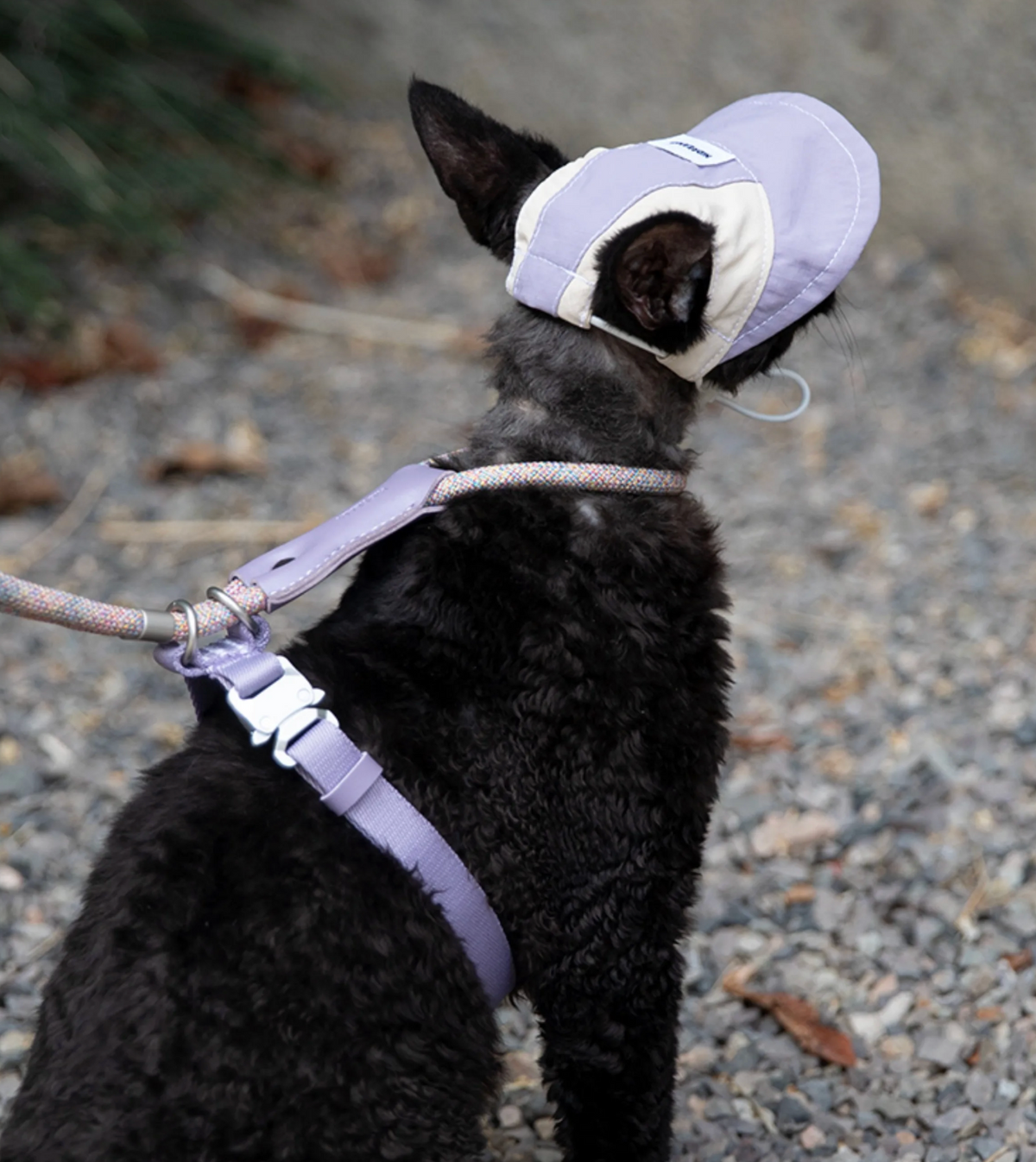 Hidream Lightweight Cat Sun Hat