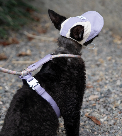 Hidream Lightweight Cat Sun Hat