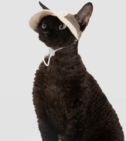 Hidream Lightweight Cat Sun Hat