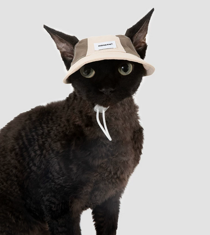Hidream Lightweight Cat Sun Hat