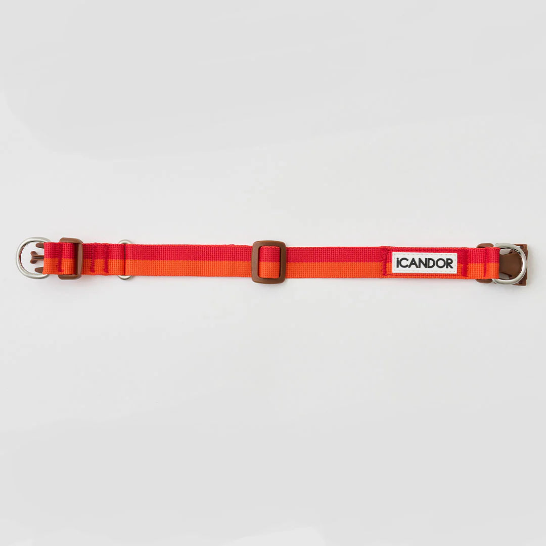 iCANDOR Gentle Collar Dual
