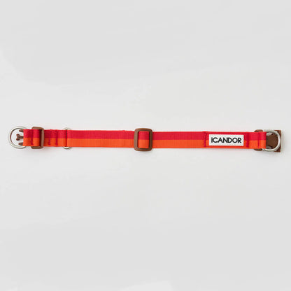 iCANDOR Gentle Collar Dual