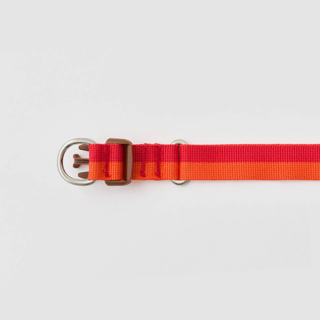 iCANDOR Gentle Collar Dual