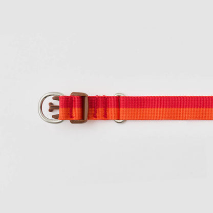 iCANDOR Gentle Collar Dual