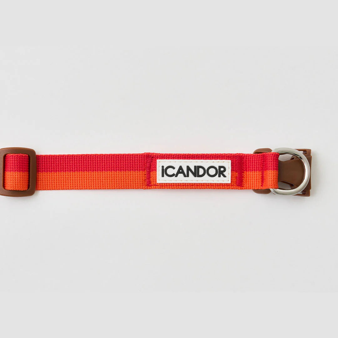 iCANDOR Gentle Collar Dual