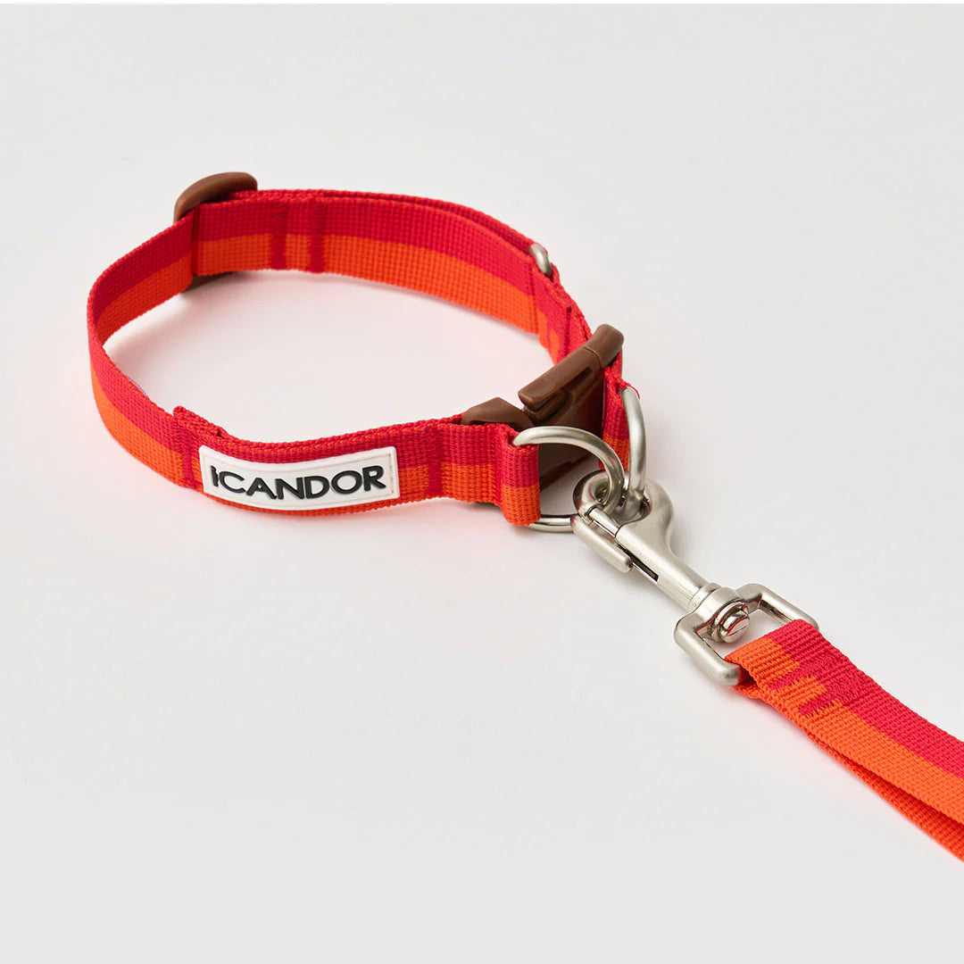 iCANDOR Gentle Collar Dual
