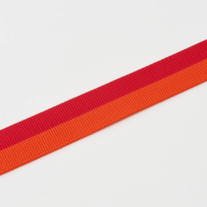iCANDOR Gentle Collar Dual