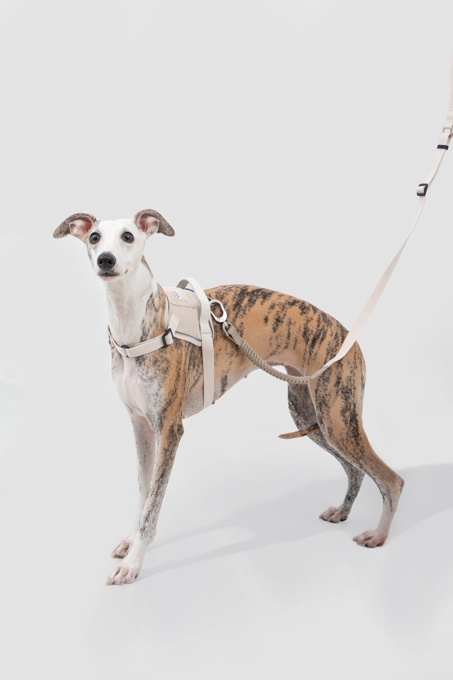 Valley Series Dog Harness - Beige