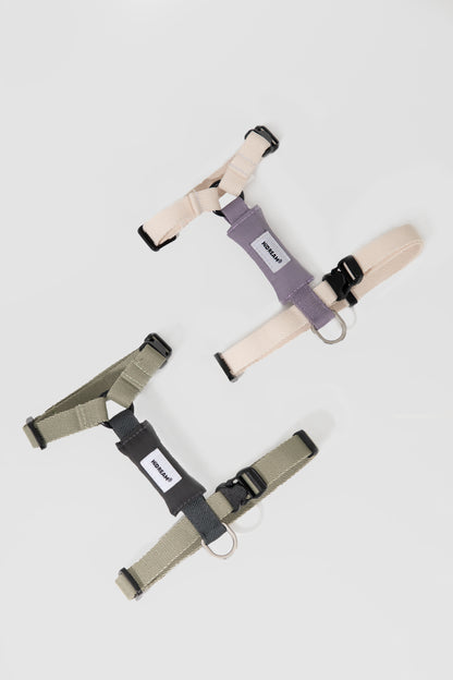 Valley Series H-Shaped Cat Harness Leash Set
