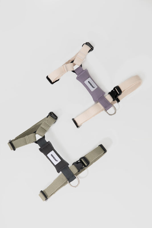Valley Series H-Shaped Cat Harness Leash Set