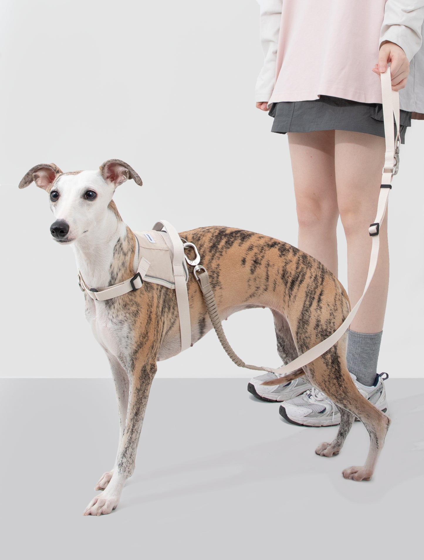 Valley Series Dog Harness - Beige