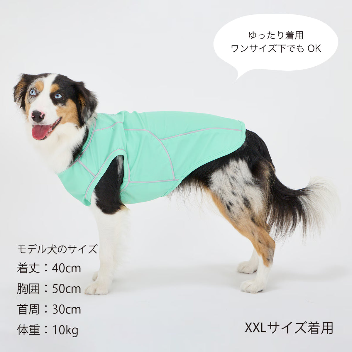 MANDARINE BROTHERS Cooling Fabric Reflective Dog T-Shirt