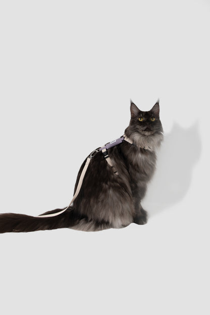 Valley Series H-Shaped Cat Harness Leash Set