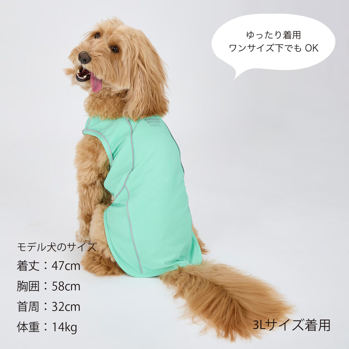 MANDARINE BROTHERS Cooling Fabric Reflective Dog T-Shirt