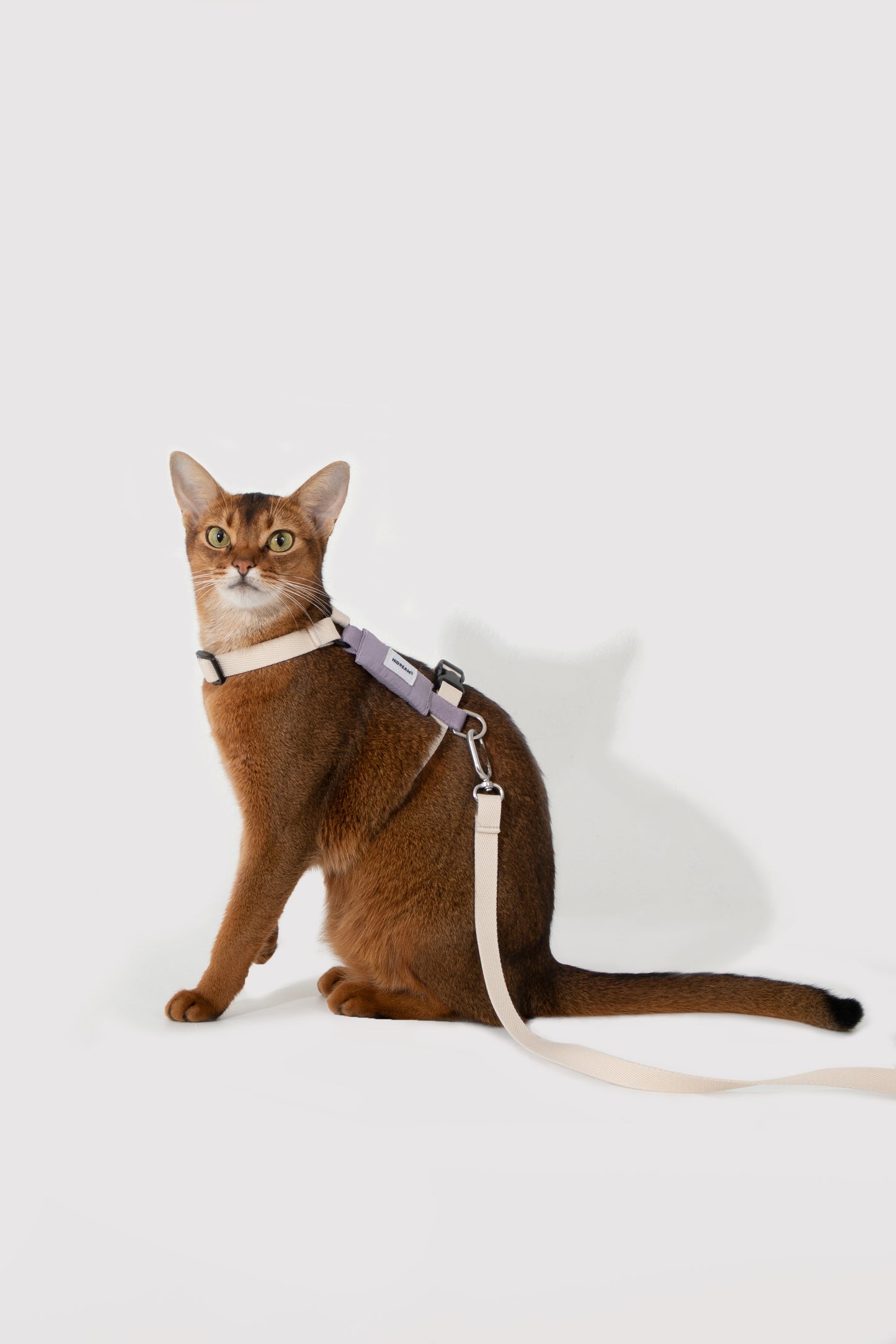 Valley Series H-Shaped Cat Harness Leash Set