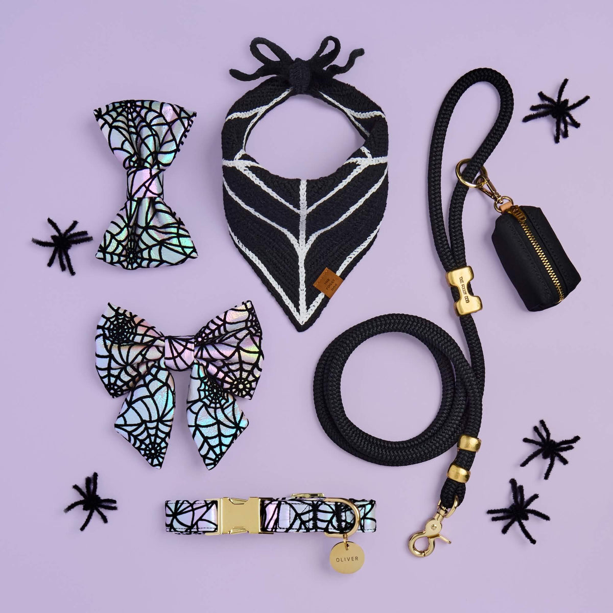 The Foggy Dog Holographic Spiderweb Dog Collar