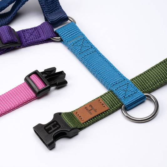 Haqihana Harness H - Harness Northern Lights