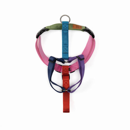 Haqihana Harness H - Harness Northern Lights