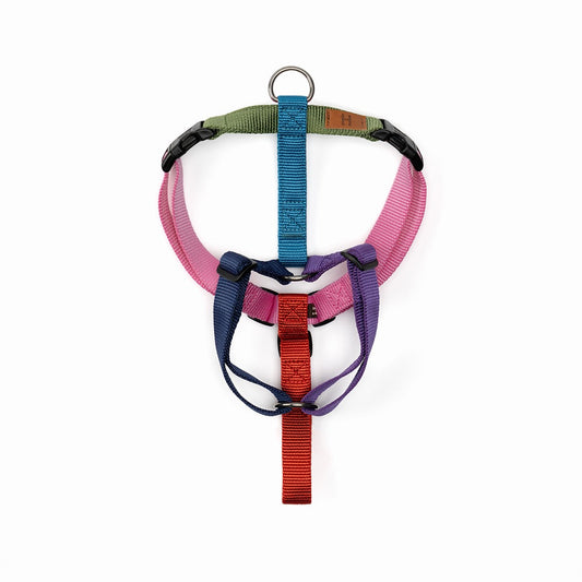 Haqihana Harness H - Harness Northern Lights