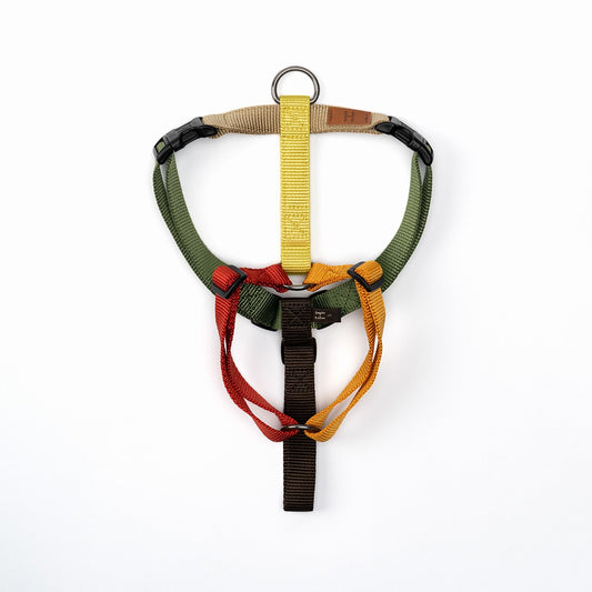 Haqihana Harness H - Harness Seasons 2023