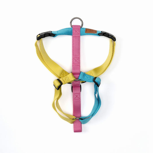 Haqihana Harness H - Unicorn - Limited Edition 2022