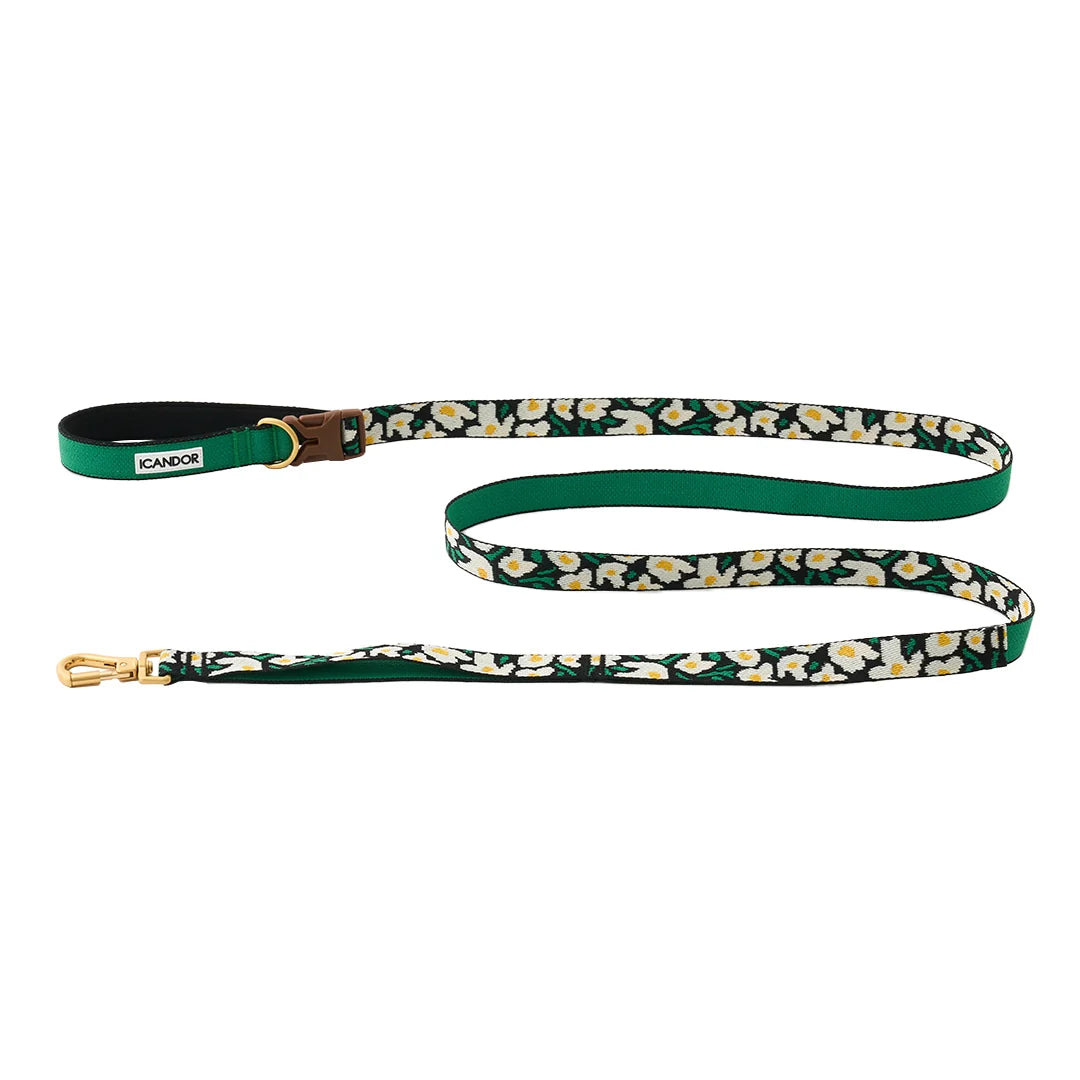 iCANDOR Gentle Leash Bolt 2m/2.5cm