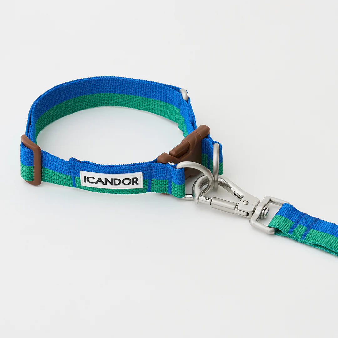 iCANDOR Gentle Leash Bolt 2m/2.5cm