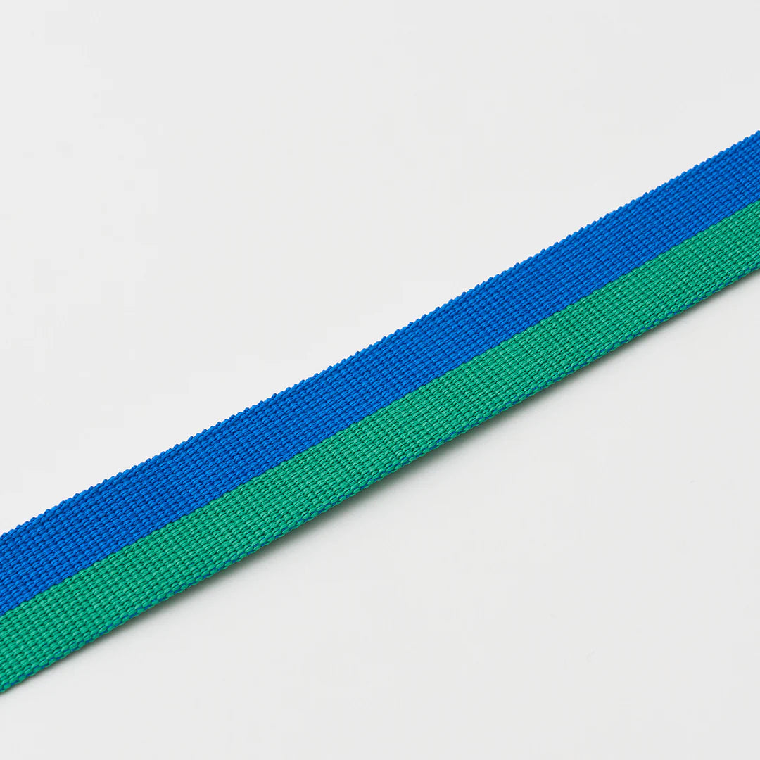 iCANDOR Gentle Leash Bolt 2m/2.5cm