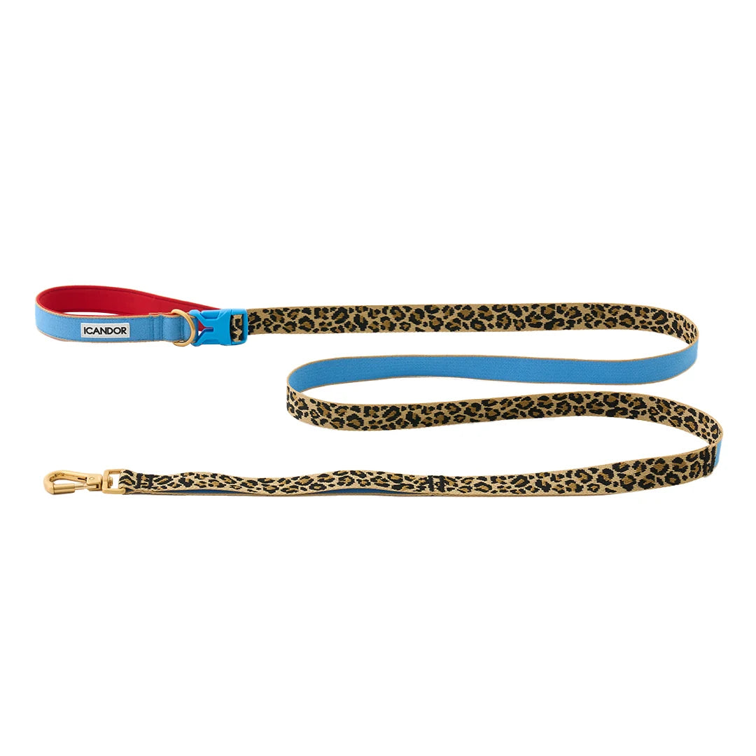 iCANDOR Gentle Leash Bolt 2m/2.5cm