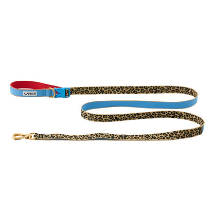 iCANDOR Gentle Leash Bolt 2m/2.5cm