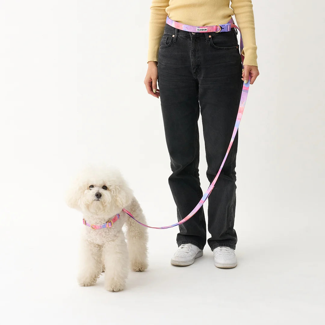 iCANDOR Gentle Leash Bolt 2m/2.5cm