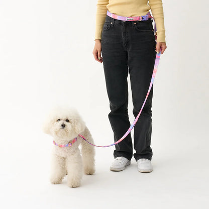 iCANDOR Gentle Leash Bolt 2m/2.5cm