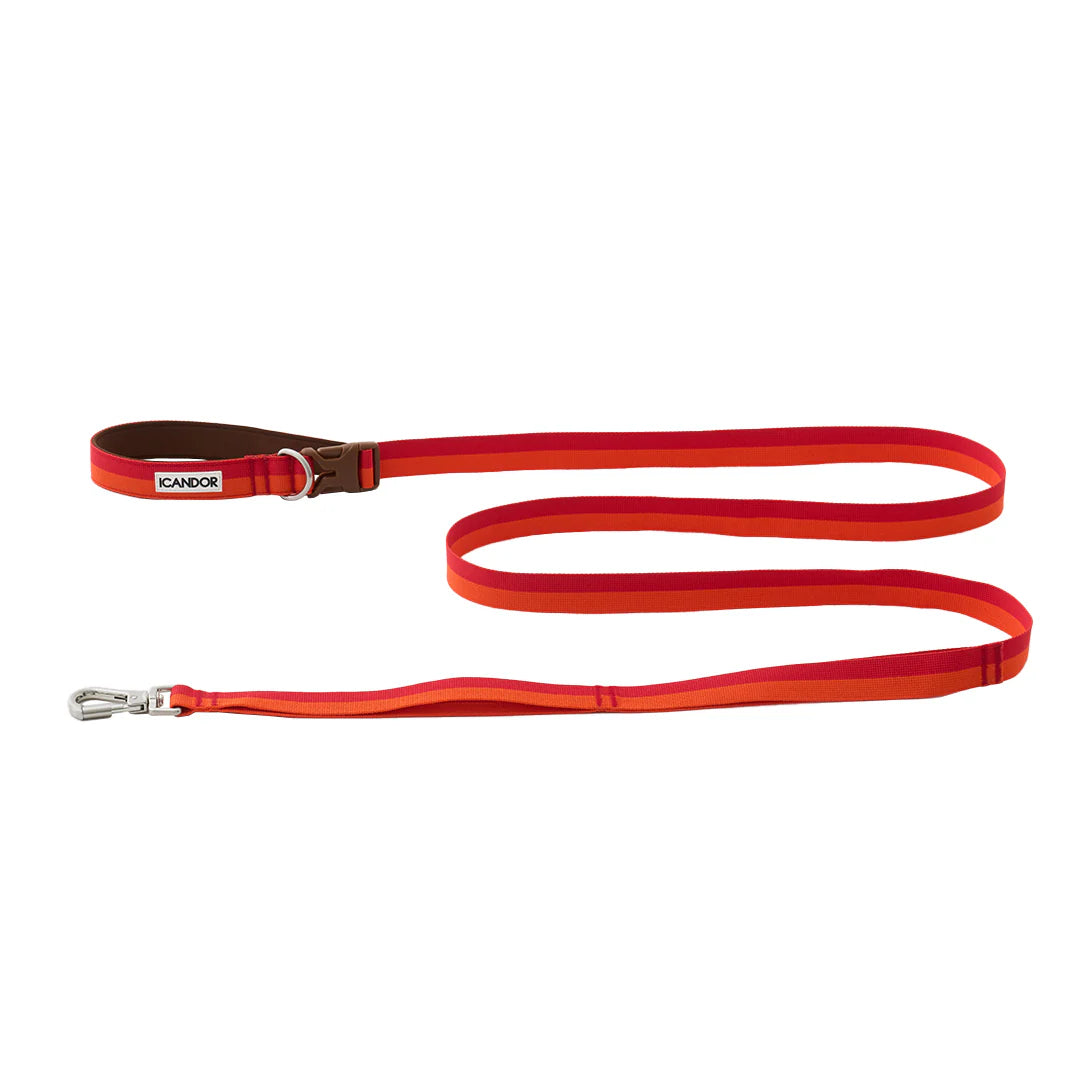 iCANDOR Gentle Leash Bolt 2m/2.5cm
