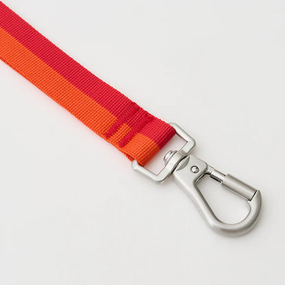 iCANDOR Gentle Leash Bolt 2m/2.5cm