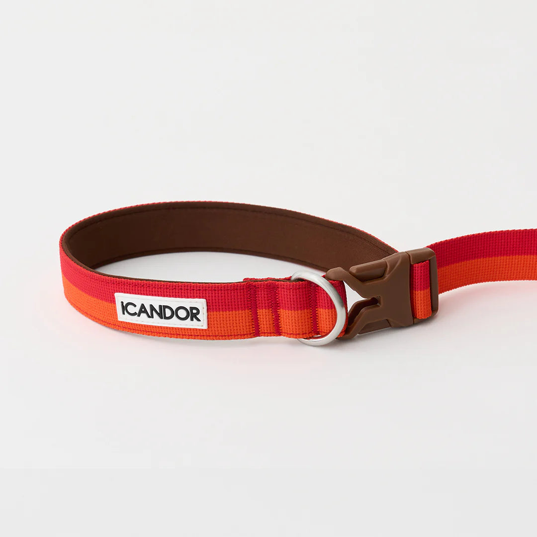 iCANDOR Gentle Leash Bolt 2m/2.5cm