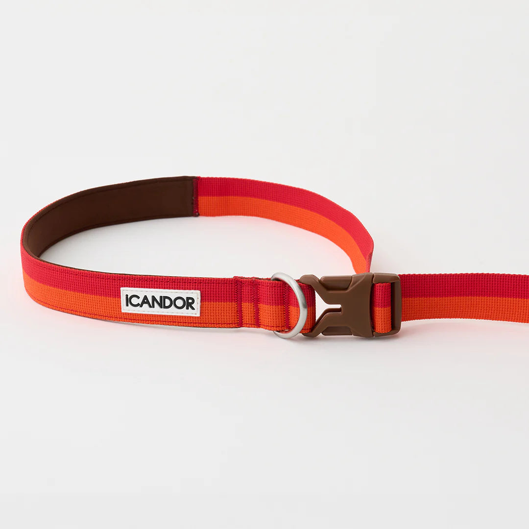 iCANDOR Gentle Leash Bolt 2m/2.5cm