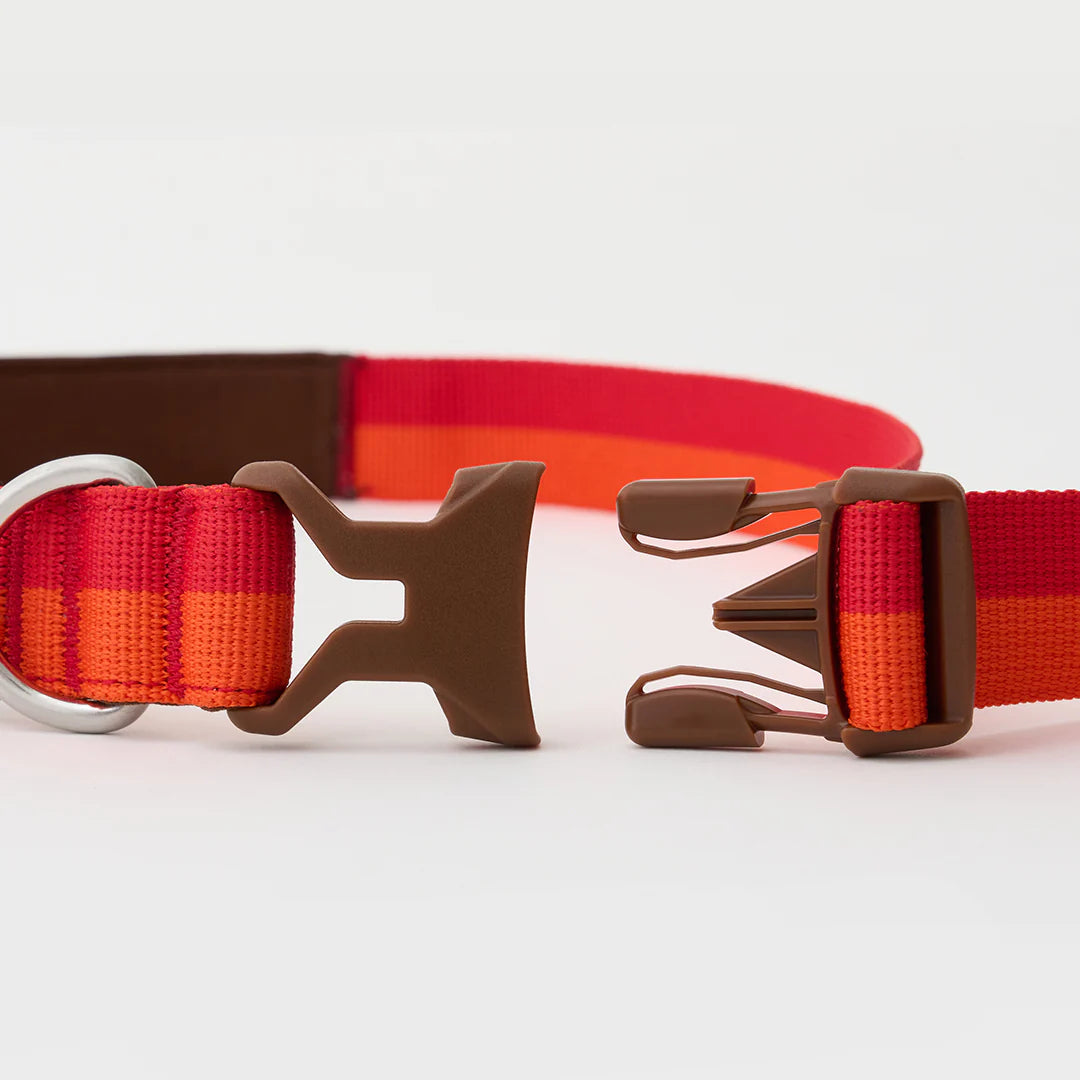 iCANDOR Gentle Leash Bolt 2m/2.5cm
