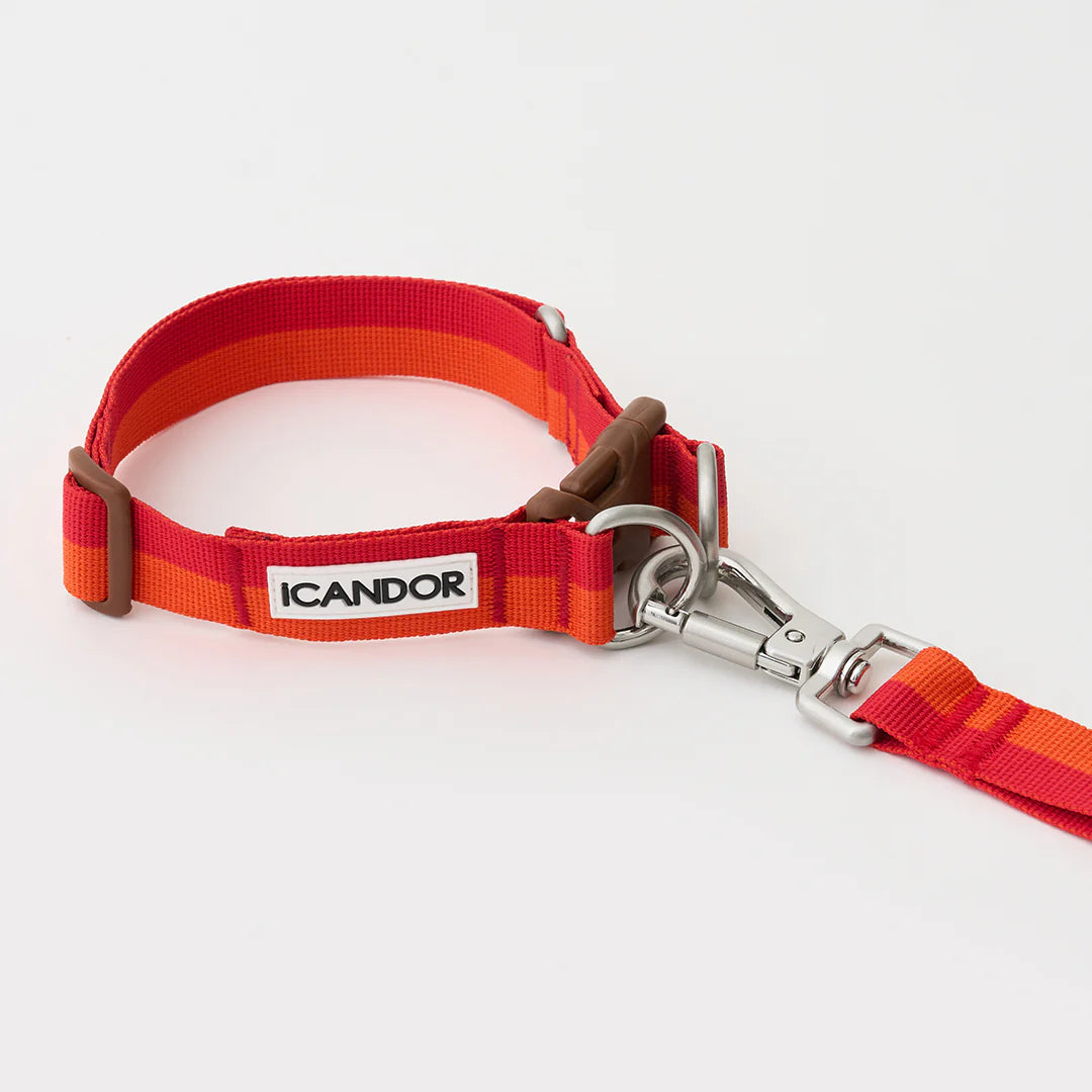 iCANDOR Gentle Leash Bolt 2m/2.5cm