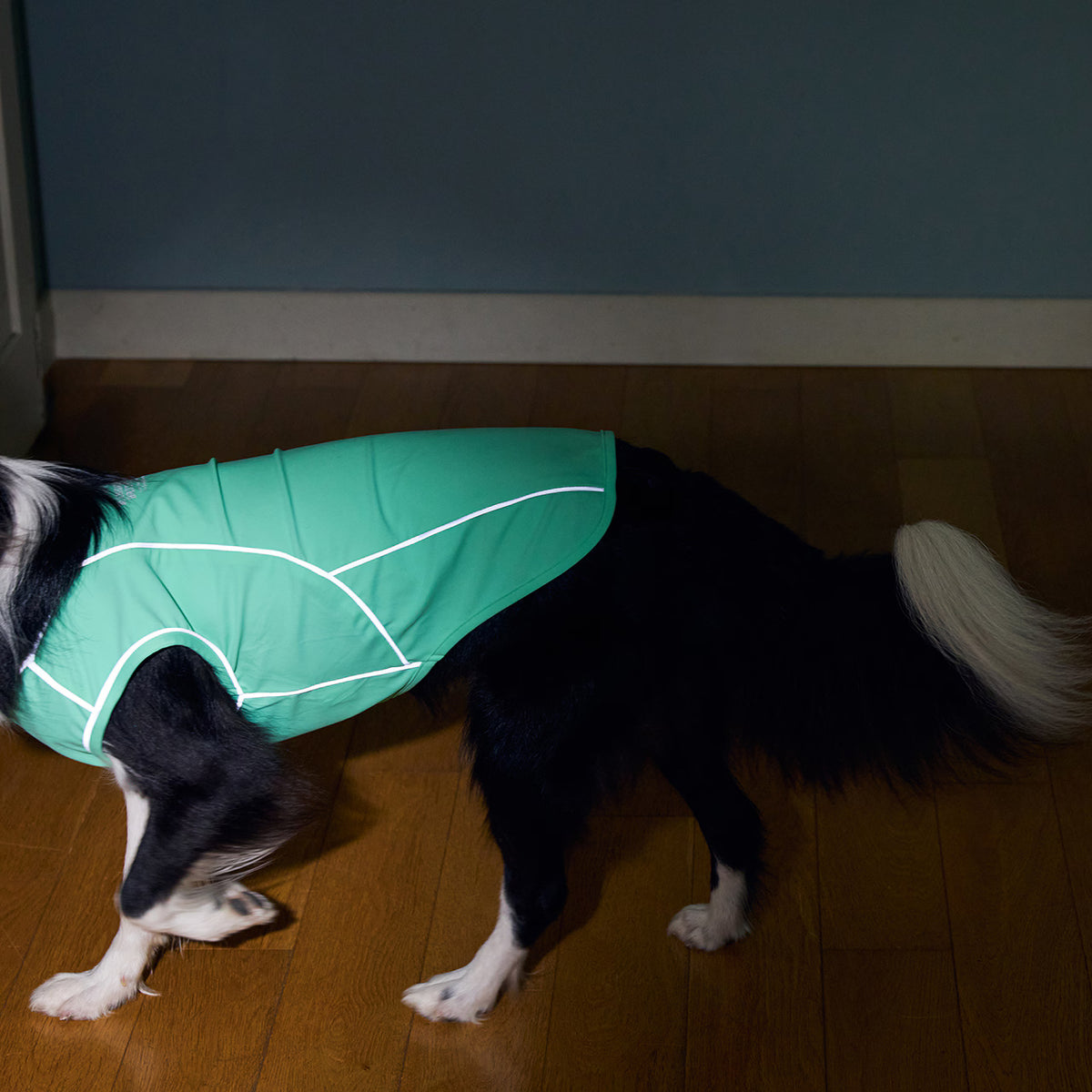 MANDARINE BROTHERS Cooling Fabric Reflective Dog T-Shirt