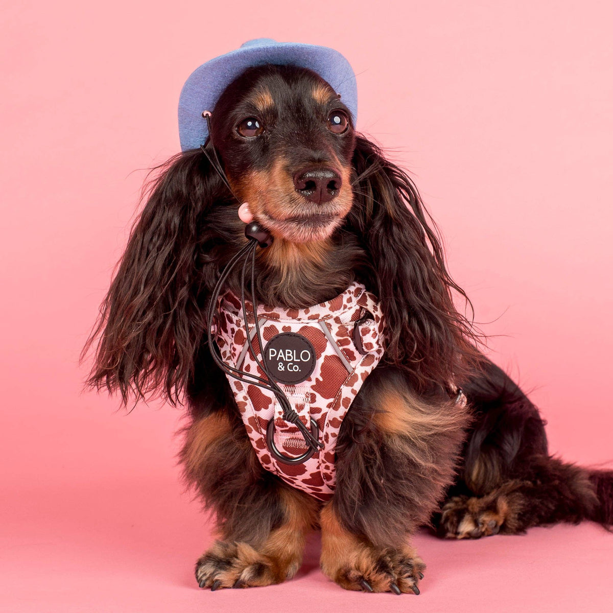 Pet Cowboy Hat
